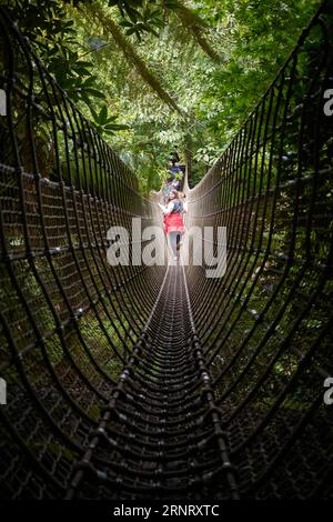 Eine Seilbrücke, die Burma Bridge, über einen Bach durch den burmesischen Dschungel der Lost Gardens of Heligan in Cornwall, Großbritannien Stockfoto