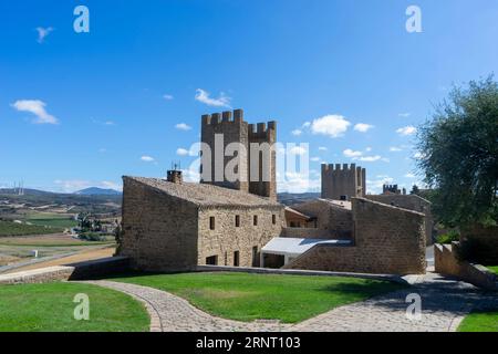 Blick auf die Mauer der Umkreisung von Artajona in der Region Navarra, Spanien. Stockfoto