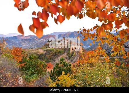 (171026) -- TANGSHAN, 26. Oktober 2017 -- Foto aufgenommen am 26. Oktober 2017 zeigt die Herbstlandschaft der Großen Mauer von Yumuling im Qianxi County von Tangshan, nordchinesische Provinz Hebei. ) (zhs) CHINA-HEBEI-GREAT WALL-HERBST (CN) MuxYu PUBLICATIONxNOTxINxCHN Stockfoto