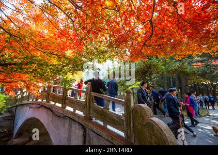 (171030) -- JIUJIANG, 30. Oktober 2017 () -- Touristen besuchen den Berg Lushan in der Stadt Jiujiang, ostchinesische Provinz Jiangxi, 29. Oktober 2017. Der Herbst hat den Berg Lushan zu einem farbenfrohen Ort gemalt, der die Menschen anlockte, die Landschaft hier zu genießen. () (xzy) CHINA-JIUJIANG-LUSHAN-HERBSTLANDSCHAFT (CN) Xinhua PUBLICATIONxNOTxINxCHN Stockfoto