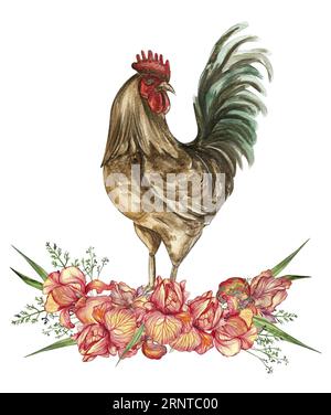 Aquarellblumen und Hahnkomposition. Handgezeichnete Illustration eines Bauernhofs. Perfekt für Hochzeitseinladungen, Grußkarten, Poster. Stockfoto