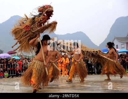 (171107) -- HECHI, 7. November 2017 -- Teilnehmer nehmen an einem Wettbewerb zum Grasdrachentanz in der autonomen Mulao-Grafschaft Luocheng, südchinesische autonome Region Guangxi Zhuang, 6. November 2017 Teil. Die Einheimischen versammelten sich, um den traditionellen Sonnentag zu Beginn des Winters zu feiern, der in diesem Jahr am 7. November fällt. ) (Ry) CHINA-GUANGXI-LUOCHENG-GRASS DRAGON DANCE (CN) LongxTao PUBLICATIONxNOTxINxCHN Stockfoto