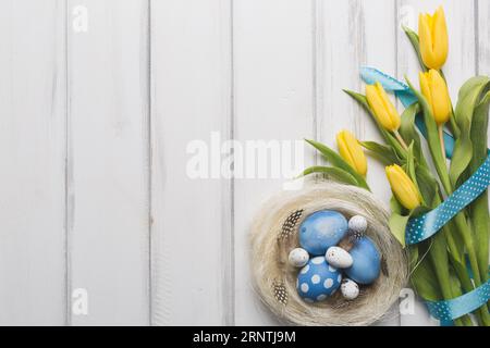 Strauß in der Nähe des Nestes mit Eiern Stockfoto