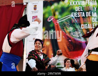 (171113) -- MADRID, 13. November 2017 -- Menschen tanzen auf einem Weinfestival in Cigales von Valladolid, Spanien, 23. September 2017. Ein Teil des hier erzeugten Weins wurde mit dem Güterzug Yiwu-Madrid nach China transportiert. Im November 2014 wurde die Frachtroute Yiwu-Madrid eingerichtet, die den größten Großhandelsmarkt für kleine Konsumgüter in Zhejiang mit dem europäischen Warenzentrum Madrid über die autonome Region Xinjiang Uygur im Nordwesten Chinas verbindet. Auf der Güterverkehrsstrecke Yiwu-Madrid über 13.000 Kilometer wurden in den ersten zehn Monaten über 120 Fahrten mit 11.000 TEU durchgeführt, davon 53. Stockfoto