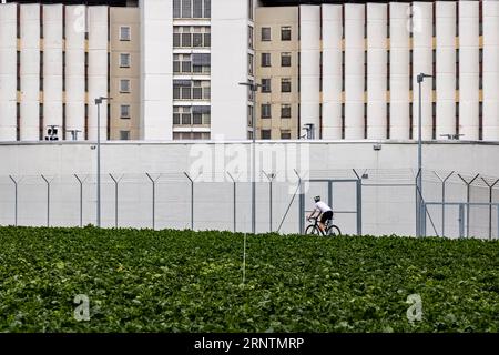 Stammheimer Gefängnis, JVA, Außenansicht des Hochsicherheitsgefängnisses mit Gefängnismauer, Stuttgart, Baden-Württemberg, Deutschland Stockfoto