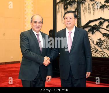 (171123) -- PEKING, 23. November 2017 -- Zhang Dejiang (R), Vorsitzender des Ständigen Ausschusses des Nationalen Volkskongresses Chinas, trifft sich mit dem zyprischen Parlamentssprecher Demetris Syllouris in Peking, der Hauptstadt Chinas, am 23. November 2017. ) (DHF) CHINA-BEIJING-ZHANG DEJIANG-CYPRUS-HOUSE SPEAKER-MEETING (CN) LIUXWEIBING PUBLICATIONXNOTXINXCHN Stockfoto