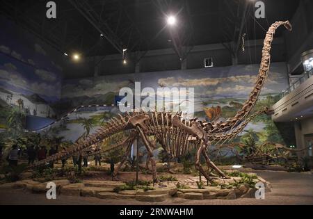 (171211) -- ZIGONG, 11. Dez. 2017 -- Foto aufgenommen am 7. Dez. 2017 zeigt die Ausstellungshalle des Zigong Dinosaurier Museums in Zigong, südwestchinesische Provinz Sichuan. Das Zigong Dinosaurier Museum wurde in der weltberühmten Dashanpu Dinosaurier Fauna erbaut und beherbergt eine Sammlung fossiler Exemplare, die fast alle bekannten Dinosaurier-Arten im Jura vor 205-135 Millionen Jahren umfassen. Es wurde vom American Global Geography Magazine als das beste Dinosaurier-Museum der Welt angesehen. ) (wf) CHINA-SICHUAN-FOSSIL-DINOSAURIER (CN) LiuxKun PUBLICATIONxNOTxINxCHN Stockfoto