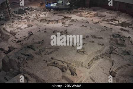 (171211) -- ZIGONG, 11. Dez. 2017 -- Foto vom 7. Dez. 2017 zeigt einen Teil der fossilen Fundstätte der Dashanpu-Dinosaurier-Fauna, in der sich auch das Zigong-Dinosaurier-Museum in Zigong, der südwestlichen chinesischen Provinz Sichuan, befindet. Das Zigong Dinosaurier Museum wurde in der weltberühmten Dashanpu Dinosaurier Fauna erbaut und beherbergt eine Sammlung fossiler Exemplare, die fast alle bekannten Dinosaurier-Arten im Jura vor 205-135 Millionen Jahren umfassen. Es wurde vom American Global Geography Magazine als das beste Dinosaurier-Museum der Welt angesehen. ) (wf) CHINA-SICHUAN-FOSSIL-DINOSAURIER (CN) LiuxKun PUBLICATIONxNOTxINxCHN Stockfoto