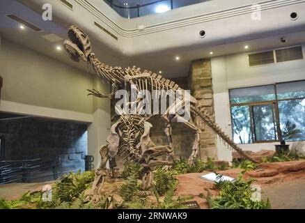 (171211) -- ZIGONG, 11. Dez. 2017 -- Foto vom 7. Dez. 2017 zeigt die Fossilien eines Huayangosaurus taibai (vorne) und eines Szechuanosaurus zigongensis (hinten) im Zigong Dinosaurier Museum in Zigong, Provinz Sichuan im Südwesten Chinas. Das Zigong Dinosaurier Museum wurde in der weltberühmten Dashanpu Dinosaurier Fauna erbaut und beherbergt eine Sammlung fossiler Exemplare, die fast alle bekannten Dinosaurier-Arten im Jura vor 205-135 Millionen Jahren umfassen. Es wurde vom American Global Geography Magazine als das beste Dinosaurier-Museum der Welt angesehen. ) (wf) CHINA-SICHUAN-FOSSIL-DINOSAURIER (CN) LiuxKun PUBLICATIONx Stockfoto