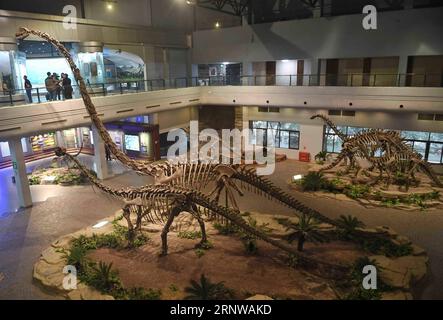 (171211) -- ZIGONG, 11. Dez. 2017 -- Foto aufgenommen am 7. Dez. 2017 zeigt die Ausstellungshalle des Zigong Dinosaurier Museums in Zigong, südwestchinesische Provinz Sichuan. Das Zigong Dinosaurier Museum wurde in der weltberühmten Dashanpu Dinosaurier Fauna erbaut und beherbergt eine Sammlung fossiler Exemplare, die fast alle bekannten Dinosaurier-Arten im Jura vor 205-135 Millionen Jahren umfassen. Es wurde vom American Global Geography Magazine als das beste Dinosaurier-Museum der Welt angesehen. ) (wf) CHINA-SICHUAN-FOSSIL-DINOSAURIER (CN) LiuxKun PUBLICATIONxNOTxINxCHN Stockfoto