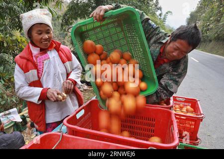 (171217) -- RONGJIANG, 17. Dezember 2017 -- Dorfbewohner übertragen frisch geerntete Nabelorangen in Rongjiang County Miao-Dong Autonome Präfektur Qiandongnan, Provinz Guizhou im Südwesten Chinas, 17. Dezember 2017. ) (wf) CHINA-GUIZHOU-ORANGES-HARVEST (CN) LiuxXu PUBLICATIONxNOTxINxCHN Stockfoto