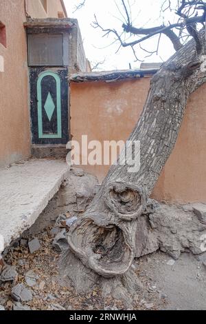 Imlil, Marokko - 22. Februar 2023: Ein Baum neigt sich an einem Gebäude im Hohen Atlasgebirge Stockfoto