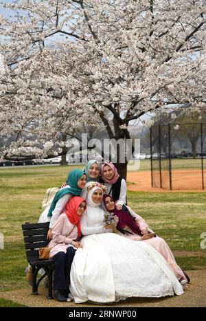 (171227) -- NEW YORK, 27. Dezember 2017 -- Menschen posieren für Fotos mit Kirschblüten rund um das Tidal Basin in Washington D.C., Hauptstadt der Vereinigten Staaten, 25. März 2017. Von der Schießerei in Las Vegas bis zum Truck Attack in Manhattan, vom Texas Hurricane Harvey bis zu den Waldbränden in Kalifornien, von der sich fortschreitenden Bull Stock Market bis hin zur einmaligen Sonnenfinsternis in den USA – siebzehn Fotos deckten die beeindruckenden Momente der Amerikaner während des ganzen Jahres ab. Sie waren typische Gesichter der Amerikaner, verkörpern das Jahr 2017 und spiegeln die Doppelheit ihres Lebens wider. US-AMERIKANER IM JAHR 2017 Stockfoto