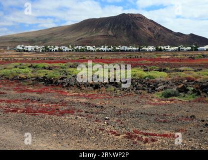 Bunte Landschaft und Montana Roja (Red Mountain) inaktiver Vulkan mit kleinem Dorf an seiner Basis. Playa Blanca, Lanzarote, Kanarische Inseln, Spanien. Stockfoto