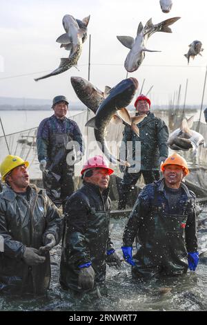 (171231) -- PEKING, 31. Dezember 2017 -- Menschen fangen Fisch am Maoer See im Xuyi County, ostchinesische Provinz Jiangsu, 28. Dezember 2017, um die Marktnachfrage vor Neujahr zu befriedigen. ) XINHUA FOTO WÖCHENTLICHE AUSWAHL ZhouxHaijun PUBLICATIONxNOTxINxCHN Stockfoto