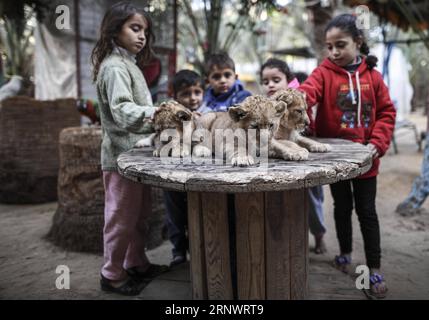 (171231) -- PEKING, 31. Dezember 2017 -- palästinensische Kinder spielen am 25. Dezember 2017 mit zwei Monate alten Löwenjungen in einem Zoo im südlichen Gazastreifen Rafah. Der palästinensische Zoobesitzer Ahmad Joma A hat drei Löwenjungen zum Verkauf gestellt, aus Angst, er könnte es sich nicht leisten, sie zu ernähren, wenn sie wachsen. ) XINHUA FOTO WÖCHENTLICHE AUSWAHL WissamxNassar PUBLICATIONxNOTxINxCHN Stockfoto