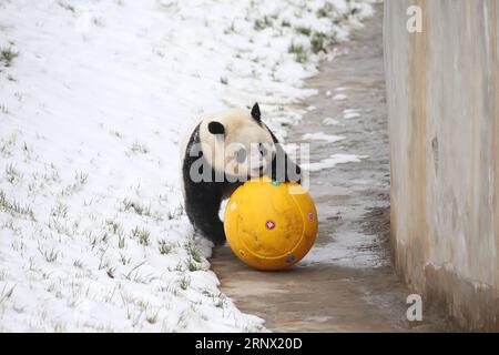 (180110) -- XI AN, 10. Januar 2018 -- Ein riesiger Panda spielt im Schnee im Xi an Qinling Zoological Park am Fuße der Qinling Mountains in Xi an, Hauptstadt der nordwestchinesischen Provinz Shaanxi, 7. Januar 2018. ) (Syh) CHINA-SHAANXI-WINTER-RIESE PANDA GouxBingchen PUBLICATIONxNOTxINxCHN Stockfoto