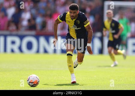 September 2023; Gtech Community Stadium, Brentford, London, England; Premier League Football, Brentford versus Bournemouth; Dominic Solanke of Bournemouth Stockfoto