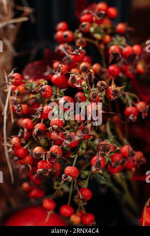 Natürlicher vertikaler Hintergrund mit leuchtend rot-rosafarbenen Hüften. Ernte und Danksagung Stillleben. Postkarte der Saison Stockfoto