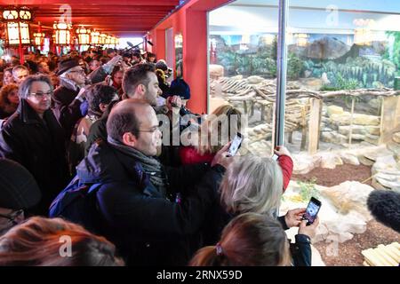 (180113) -- SAINT-AIGNAN, 13. Januar 2018 -- Besucher beobachten das Panda-Baby Yuan Meng am 13. Januar 2018 im Zooparc de Beauval in Saint-Aignan, Frankreich. Yuan Meng, das erste in Frankreich geborene Panda-Jungtier, debütiert am Samstagmorgen bei der Öffentlichkeit. (LRZ) FRANCE-SAINT-AIGNAN-ZOOPARC DE BEAUVAL-PANDA BABY-YUAN MENG CHENXYICHEN PUBLICATIONXNOTXINXCHN Stockfoto