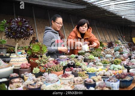 (180121) -- RENQIU, 21. Januar 2018 -- Xu Mengjiao (L) hilft einem Kunden bei der Auswahl von Sukkulenten in einem Gewächshaus in Renqiu City, nordchinesische Provinz Hebei, 21. Januar 2018. Tian Zhendong und Xu Mengjiao, ein Paar aus Renqiu, kündigten ihre Arbeit und begannen Anfang 2017 mit dem sukkulenten Pflanzengeschäft. Nach einem Jahr der Entwicklung hat ihr Garten mehr als 300 Arten von Sukkulenten eingeführt und 200.000 Pflanzen angebaut, und sie erbringt Vorteile durch Online- und Offline-Verkauf. ) (Zwx) CHINA-HEBEI-PAAR-SUKKULENTEN PFLANZEN (CN) MuxYu PUBLICATIONxNOTxINxCHN Stockfoto