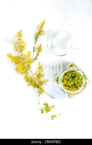 Galium verum, Damenstroh oder gelbes Bettstroh, das in der Alternativmedizin verwendet wird, getrocknete Blumen im medizinischen Glas mit Kork. Heilkräuter Hypericum für zu Hause Stockfoto