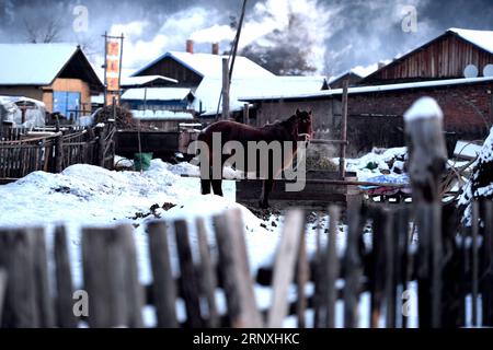 (180131) -- MOHE, 31. Januar 2018 -- Foto aufgenommen am 29. Januar 2018 zeigt Landschaft im Dorf Beiji im Kreis Mohe, nordöstliche Provinz Heilongjiang. ) (dhf) CHINA-HEILONGJIANG-MOHE-BEIJI DORF-LANDSCHAFT (CN) WangxKai PUBLICATIONxNOTxINxCHN Stockfoto