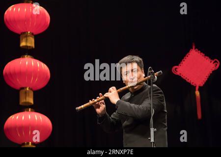 (180208) -- BUDAPEST, 8. Februar 2018 -- Wang Hua mit dem Chinesischen Elchkammerorchester tritt während eines Konzerts in Budapest, Ungarn, am 7. Februar 2018 auf. Das chinesische ELK Chamber Orchestra veranstaltete am Mittwochabend ein Konzert mit dem Titel Strings Dance, das das Frühlingsfest feierte. (srb) UNGARN-BUDAPEST-CHINA-KAMMERORCHESTER-KONZERT AttilaxVolgyi PUBLICATIONxNOTxINxCHN Stockfoto