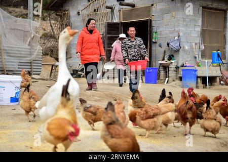 (180315) -- PEKING, 15. März 2018 -- Aktenfoto vom 6. März 2017 zeigt, dass Wang Zhen (L) eine Hühnerfarm in einer von Armut betroffenen Familie im Dorf Heping in der Gemeinde Heping im Yuexi County in der ostchinesischen Provinz Anhui besucht. Wang Zhen von der Gesundheits- und Familienplanungskommission im Yuexi County wurde seit Oktober 2014 nach Heping Village entsandt. Dort arbeitete sie drei Jahre lang als erste Parteisekretärin, um Armutsbekämpfung zu leisten. China ist entschlossen, sich zu einem modernen sozialistischen Land zu entwickeln, das durch gezielte Armutsbekämpfung auf Fairness und Gerechtigkeit beruht Stockfoto