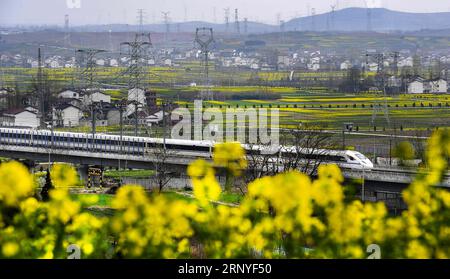 (180316) -- YANGXIAN, 16. März 2018 -- Ein Hochgeschwindigkeitszug fährt an Rapsblumenfeldern vorbei, während er auf der Xi an-Chengdu-Hochgeschwindigkeitsstrecke im Yangxian County, nordwestchinesische Provinz Shaanxi, 16. März 2018, verkehrt. ) (wyo) CHINA-SHAANXI-RAILWAY-SCENERY (CN) TaoxMing PUBLICATIONxNOTxINxCHN Stockfoto