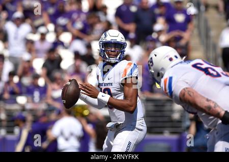 Seattle, WA, USA. September 2023. Der Quarterback Taylen Green von Boise State Broncos (10) fällt während des NCAA-Fußballspiels zwischen den Boise State Broncos und den Washington Huskies im Husky Stadium in Seattle, WA, zurück. Washington besiegte Boise State mit 56:19. Steve Faber/CSM/Alamy Live News Stockfoto