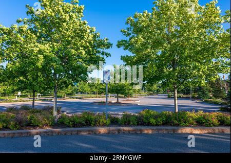 Gepflegter und bewaldeter Parkplatz. Stockfoto