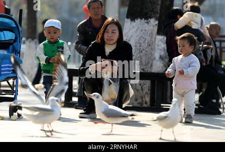 (180321) -- KUNMING, 21. März 2018 -- Menschen ernähren Schwarze Möwen auf einer Brücke in Kunming, südwestchinesische Provinz Yunnan, 13. März 2018. Nach Angaben des örtlichen Vogelschutzverbandes verbrachten im letzten Winter etwa 40.000 Möwen mit schwarzem Kopf in Kunming. )(mcg) CHINA-KUNMING-BLACK-HEAD GULL (CN) LinxYiguang PUBLICATIONxNOTxINxCHN Stockfoto