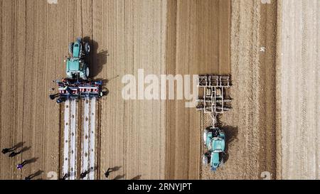 (180324) -- KUQA, 24. März 2018 -- Luftaufnahme aufgenommen am 23. März 2018 zeigt selbstfahrende Traktoren, die auf einem Baumwollfeld in der Yaha Township von Kuqa County, der nordwestchinesischen Autonomen Region Xinjiang Uygur, arbeiten. Der intelligente Traktor mit automatischem Navigationssystem kann selbst landwirtschaftliche Arbeiten ausführen, einschließlich Pflügen und Säen. ) (Ry) CHINA-XINJIANG-SELBSTFAHRENDER TRAKTOR (CN) HuxHuhu PUBLICATIONxNOTxINxCHN Stockfoto