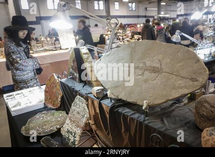 (180324) -- VANCOUVER, 24. März 2018 -- Ein Besucher schaut sich einen Stand während der Vancouver Gem and Mineral Show in Vancouver, Kanada, am 23. März 2018 an. ) (yy) CANADA-VANCOUVER-GEM SHOW Liangxsen PUBLICATIONxNOTxINxCHN Stockfoto