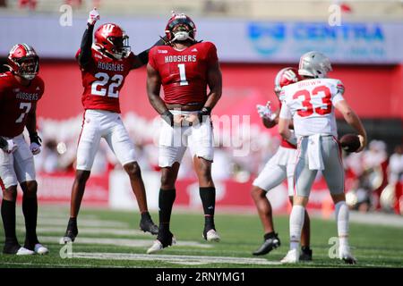 Bloomington, USA. September 2023. BLOOMINGTON, INDIANA – 2. SEPTEMBER: Andre Carter (1) spielt am 2. SEPTEMBER 2023 in Bloomington gegen den Ohio State Buckeyes Quarterback Devin Brown (33). (Quelle: Jeremy Hogan/Alamy Live News) Stockfoto