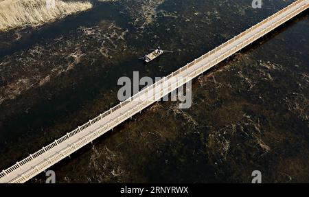 (180401) -- XIONGAN NEW AREA, 1. April 2018 -- auf diesem Luftbild vom 29. März 2018 reinigt ein Sanitäter den Baiyangdian-See in Xiongan New Area, nordchinesische Provinz Hebei. Xiongan New Area, gegründet am 1. April 2017, ist eine neue Wirtschaftszone etwa 100 Kilometer südwestlich von Peking. Es ist das dritte neue Gebiet von nationaler Bedeutung nach der Shenzhen Special Economic Zone und dem Shanghai Pudong New Area. China will es als eine kohlenstoffarme, intelligente, lebenswerte und global einflussreiche Stadt errichten, in der Menschen und Natur in Harmonie leben. ) (LMM) CHINA-XIONGAN NEW AREA-ANNIVER Stockfoto