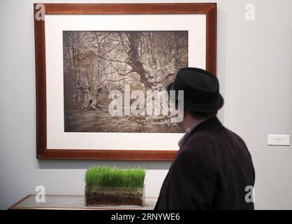 (180405) -- NEW YORK, 5. April 2018 -- Ein Besucher schaut sich Burnham Beeches an, die Fotoarbeit des englischen Fotografen Vernon Heath, auf der AIPAD (Association of International Photography Art Dealers), der Photography Show in New York, USA, am 5. April 2018. Die 38. Auflage der Photography Show findet vom 5. Bis 8. April statt. Rund 100 der weltweit führenden Kunstfotografen-Galerien präsentieren eine Reihe von Arbeiten in Museumsqualität, darunter zeitgenössische, moderne und Fotografien des 19. Jahrhunderts sowie fotobasierte Kunst, Video und neue Medien. ) US-NEW YORK-AIPAD-DIE FOTOGRAFIE S Stockfoto