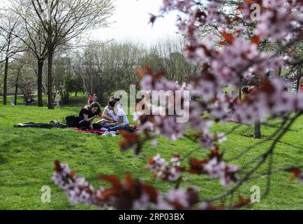 (180415) -- BERLIN, 15. April 2018 -- Besucher sitzen beim Kirschblütenfest im Garten der Welt im Osten Berlins am 15. April 2018 in der Nähe von Kirschblüten. Rund 25.000 Besucher werden am 12. Kirschblütenfest teilnehmen. ) DEUTSCHLAND-BERLIN-KIRSCHBLÜTENFEST ShanxYuqi PUBLICATIONxNOTxINxCHN Stockfoto