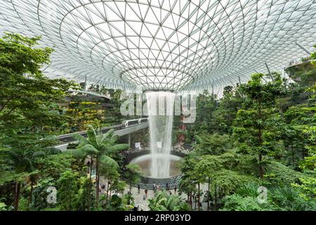 Singapur - August 29,2023: Der Jewel Changi Airport ist ein naturbelassener Unterhaltungs- und Einzelhandelskomplex, der von einem Passagier umgeben ist und mit ihm verbunden ist Stockfoto