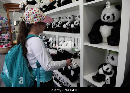 (180417) -- CANBERRA, 17. April 2018 -- Ein junger Besucher im Panda Souvenir Shop im Adelaide Zoo, South Australia, am 13. April 2018. Wangwang und Funi sind die Pandas aus China, die seit 2009 im Adelaide Zoo leben. )(gj) AUSTRALIA-CANBERRA-RIESEN-PANDAS XuxHaijing PUBLICATIONxNOTxINxCHN Stockfoto