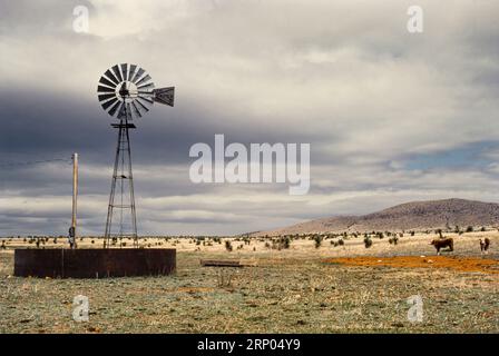 Lagertank und Windmühle   Patagonia, Arizona, USA Stockfoto