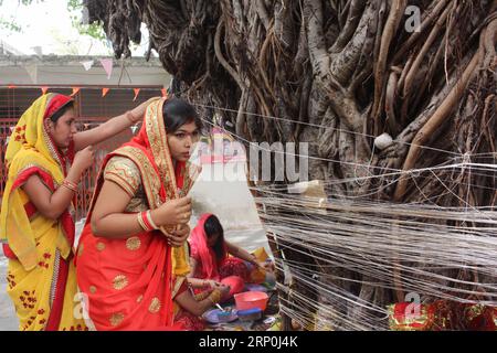 (180516) -- BHOPAL, 16. Mai 2018 -- indische Hindu-verheiratete Frauen führen Rituale um einen Banyanbaum anlässlich des VAT Savitri Festivals in Bhopal im indischen Zentralstaat Madhya Pradesh am 15. Mai 2018 auf. Frauen beten bei dieser Gelegenheit für die Langlebigkeit ihrer Ehemänner. ) (yy) INDIA-BHOPAL-VAT SAVITRI FESTIVAL Stringer PUBLICATIONxNOTxINxCHN Stockfoto