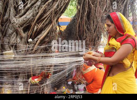 (180516) -- BHOPAL, 16. Mai 2018 -- indische Hindu-verheiratete Frauen führen Rituale um einen Banyanbaum anlässlich des VAT Savitri Festivals in Bhopal im indischen Zentralstaat Madhya Pradesh am 15. Mai 2018 auf. Frauen beten bei dieser Gelegenheit für die Langlebigkeit ihrer Ehemänner. ) (yy) INDIA-BHOPAL-VAT SAVITRI FESTIVAL Stringer PUBLICATIONxNOTxINxCHN Stockfoto