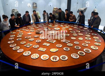 News Bilder des Tages (180517) -- HUICHUN, 17. Mai 2018 -- Xia Xicheng (5. L) stellt seinen Besuchern seine seltsamen Steinsammlungen in seinem Museum in Huichun, Provinz Jilin im Nordosten Chinas, am 16. Mai 2018 vor. Der Sammler Xia Xicheng, 68, eröffnete sein eigenes Volksmuseum in Huichun. Das Museum mit einer Fläche von über 30.000 Quadratmetern zeigt mehr als 140.000 Sammlungen von Xia Xicheng. ) (wyo) CHINA-JILIN-COLLECTOR-PRIVATE MUSEUM (CN) XuxChang PUBLICATIONxNOTxINxCHN Stockfoto