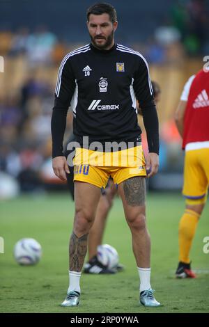 Monterrey, Mexiko. September 2023. September 2023; Monterrey, Nuevo León, Mexiko; Liga MX 2023 Apertura Spiel in der sechsten Runde zwischen UANL Tigres und Querétaro FC in Estádio Universitário. #10 Angreifer Tigres, André Pierre Gignac Aufwärmen. Obligatorisches Guthaben: Toby Tande Credit: Px Images/Alamy Live News Stockfoto