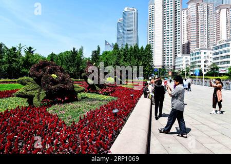 (180531) -- QINGDAO, 31. Mai 2018 -- Touristen machen Fotos auf dem vierten Mai-Platz in Qingdao, Ostchinas Provinz Shandong, 31. Mai 2018. Der 18. Gipfel der Shanghai Cooperation Organization (SCO) ist für Juni 9-10 in Qingdao geplant. ) (Zyd) CHINA-QINGDAO-SCO-LANDSCHAFT (CN) GuoxXulei PUBLICATIONxNOTxINxCHN Stockfoto