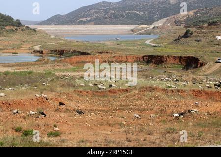 (180610) -- KRETA, 10. Juni 2018 -- Foto aufgenommen am 9. Juni 2018 zeigt den Boden des Aposelemis-Stausees, Heraklion, Kreta, Griechenland. Ein versunkenes Geisterdorf an einem künstlichen See auf der Insel Kreta tauchte in den letzten Monaten als Symbol für den Dürre-Alptraum auf, dem Griechenland in den kommenden Jahren begegnen könnte. ZUM Feature: Versunkenes Dorf auf der Insel Kreta taucht als Symbol für Dürre-Alptraum wieder auf. ) (Zjl) GRIECHENLAND-KRETA-GEISTERDORF-DÜRRE StefanosxRapanis PUBLICATIONxNOTxINxCHN Stockfoto