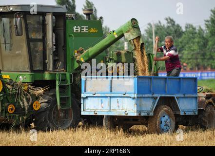 (180612) -- CANGZHOU, 12. Juni 2018 -- Bauern ernten Weizen auf den Feldern im Wumaying Village im Nanpi County, nordchinesische Provinz Hebei, 12. Juni 2018. ) (wsw) CHINA-HEBEI-WEIZEN-ERNTE (CN) MuxYU PUBLICATIONxNOTxINxCHN Stockfoto