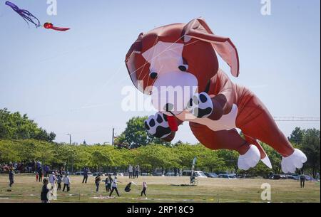 (180616) -- VANCOUVER, 16. Juni 2018 -- Ein riesiger hundeförmiger Kite wird während des Pacific Rim Kite Festivals in Vancouver, Kanada, am 16. Juni 2018 gesehen. Das zweitägige jährliche Festival brachte professionelle Kite-Flieger und Fans aus Kanada und den Vereinigten Staaten, um ihre bunten Kites und Kite-Fliegen-Fähigkeiten zu präsentieren. ) CANADA-VANCOUVER-KITE FESTIVAL LiangxSen PUBLICATIONxNOTxINxCHN Stockfoto